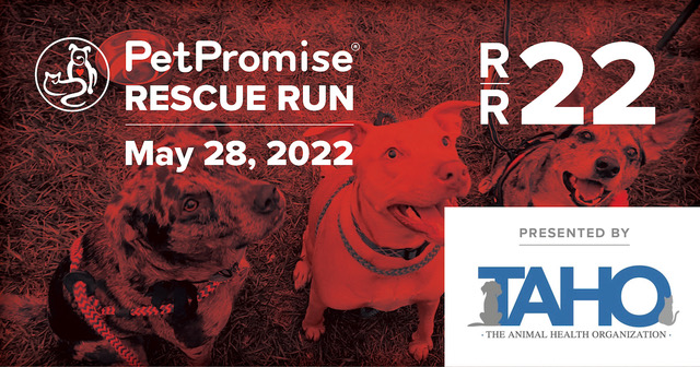 Rescue run 2022